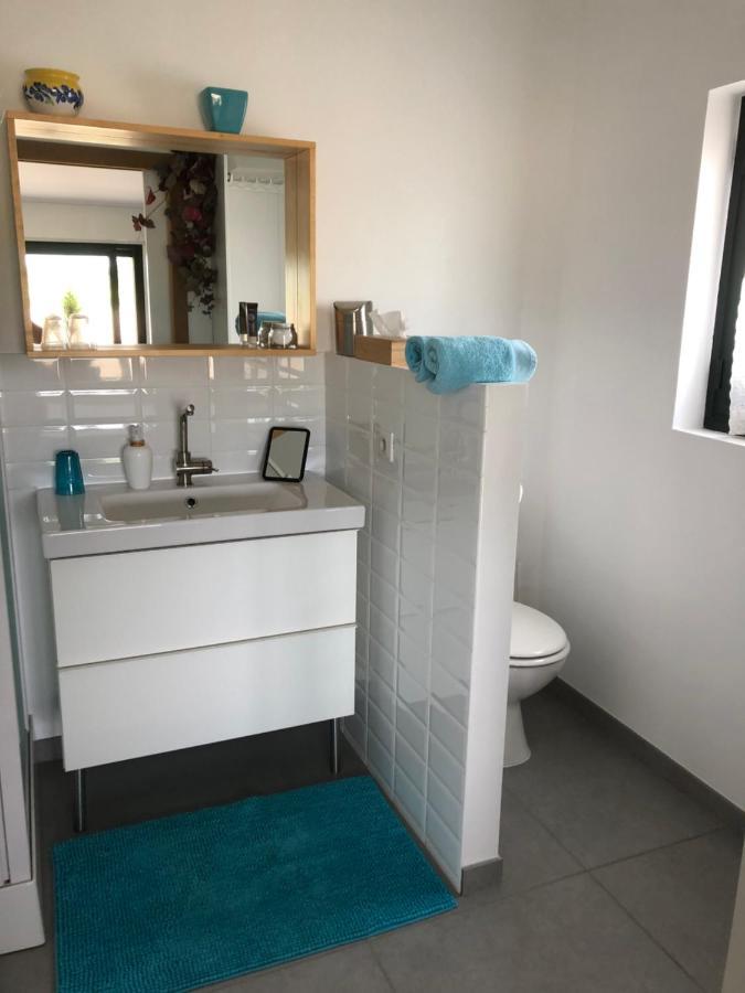 Appartement Gite-grand Contemporain Proche Toulouse Dans Domaine Equestre