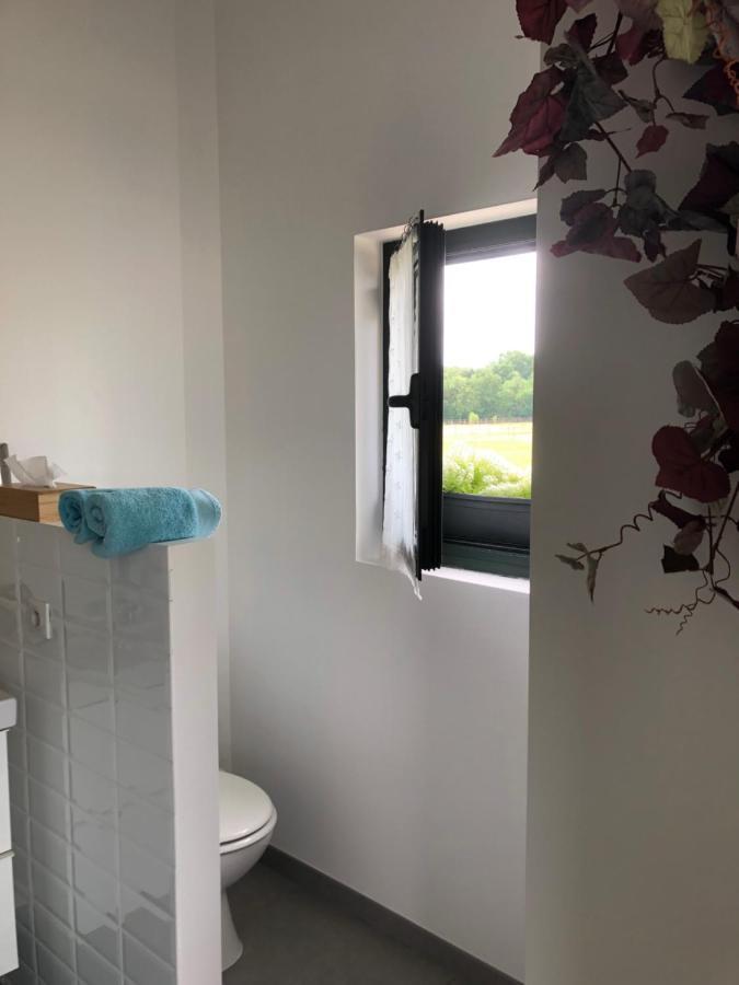 Gite-grand Contemporain Proche Toulouse Dans Domaine Equestre *