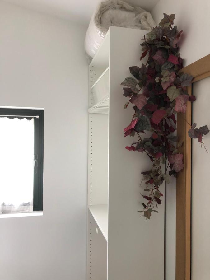 Appartement Gite-grand Contemporain Proche Toulouse Dans Domaine Equestre