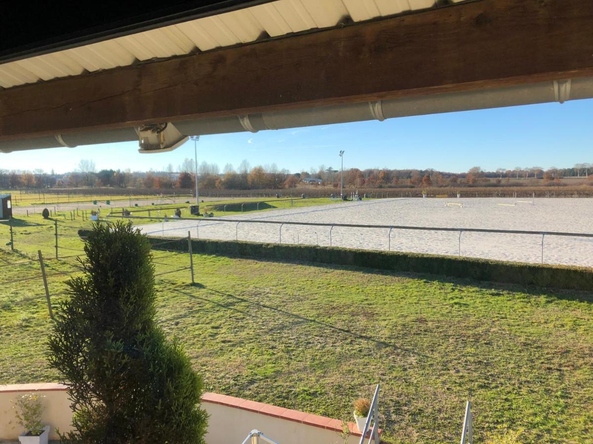 Gite-grand Contemporain Proche Toulouse Dans Domaine Equestre * Bouloc (Haute-Garonne)