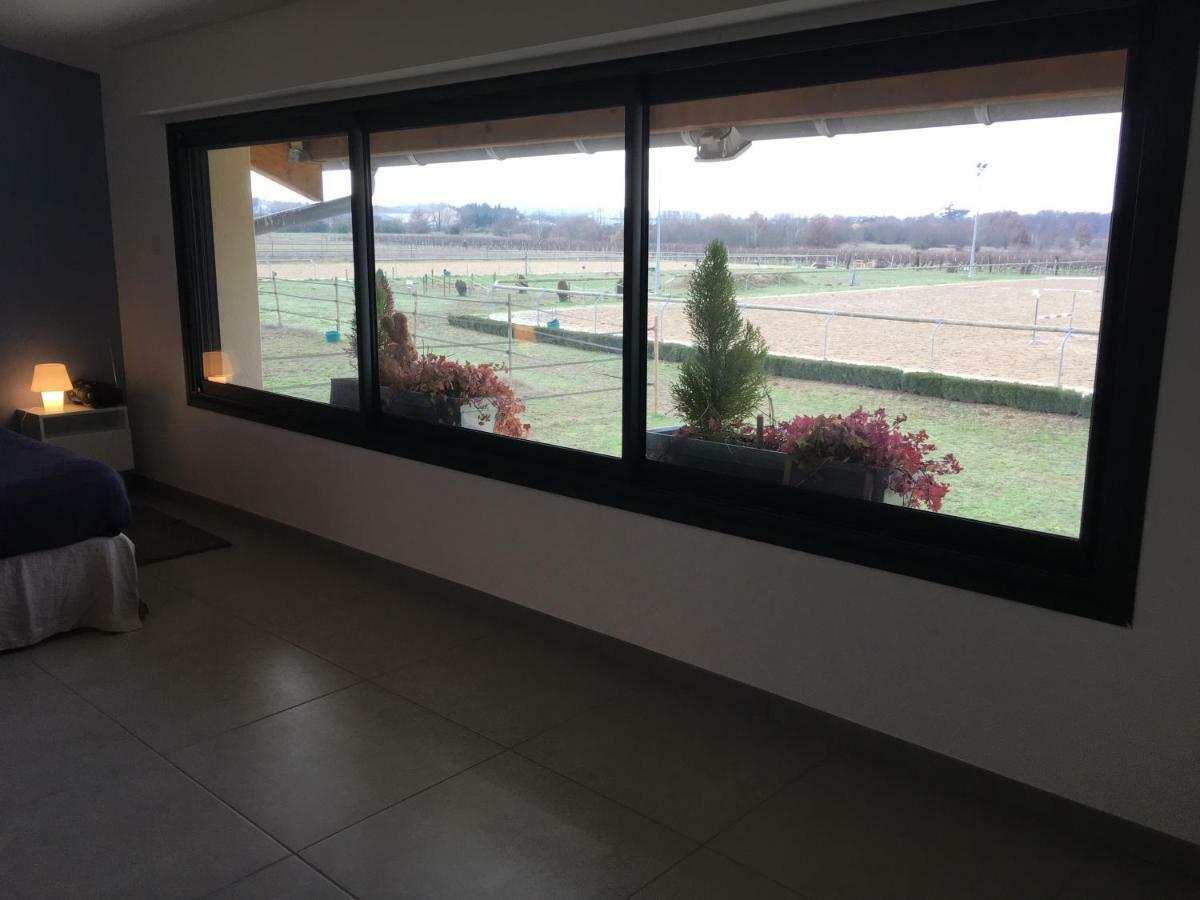 Gite-grand Contemporain Proche Toulouse Dans Domaine Equestre Appartement Bouloc (Haute-Garonne)