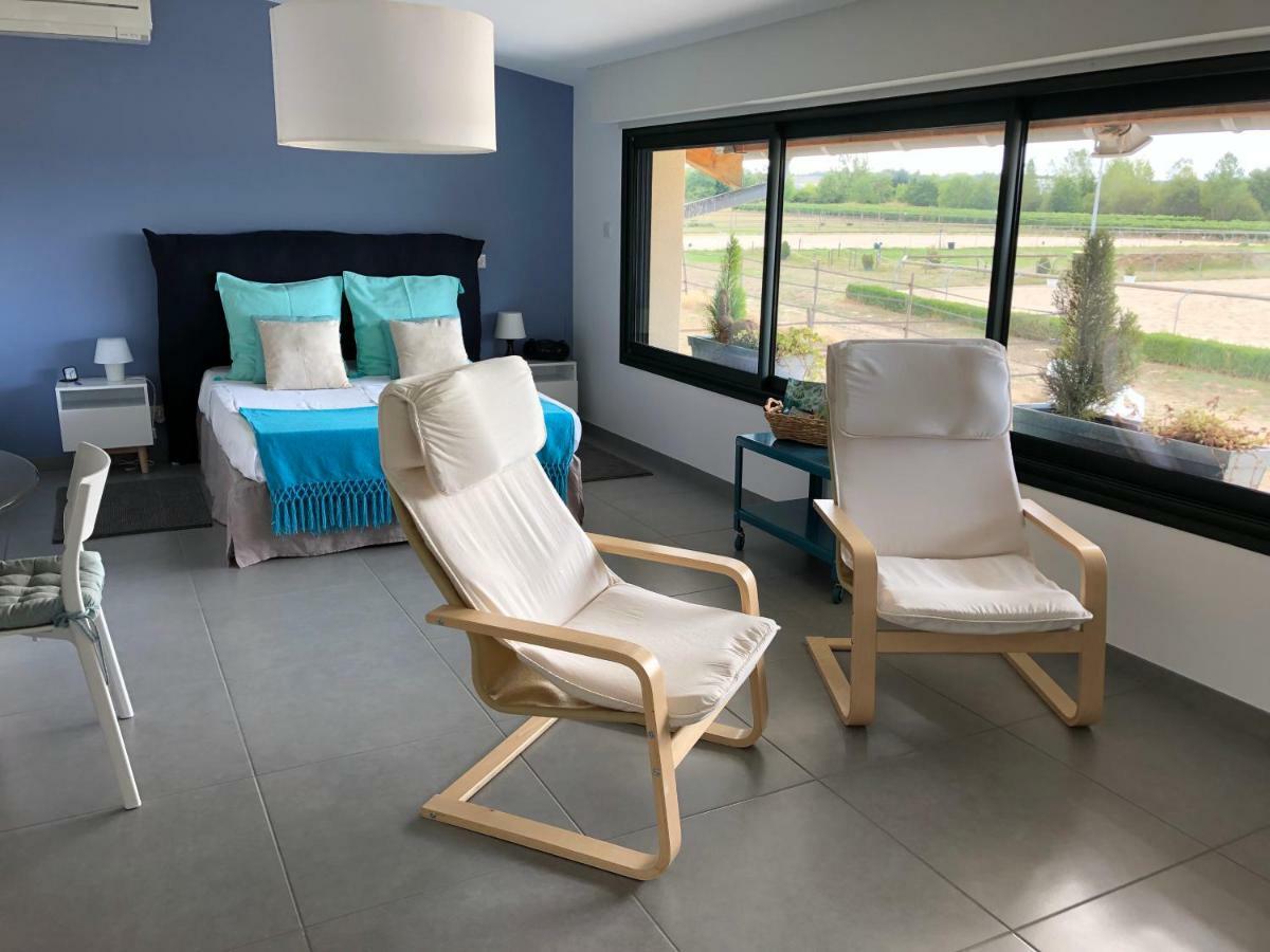 Gite-grand Contemporain Proche Toulouse Dans Domaine Equestre Appartement Bouloc (Haute-Garonne)